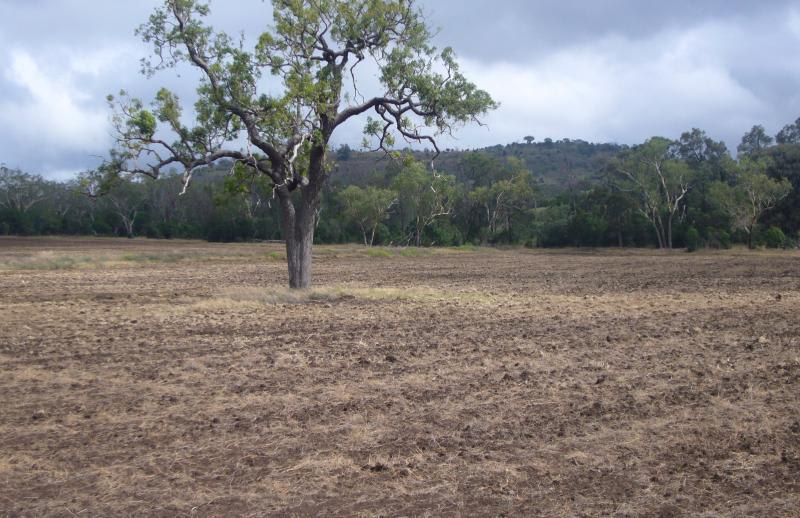 426 acres Cooranga North Bell QLD 4408 - Image 2