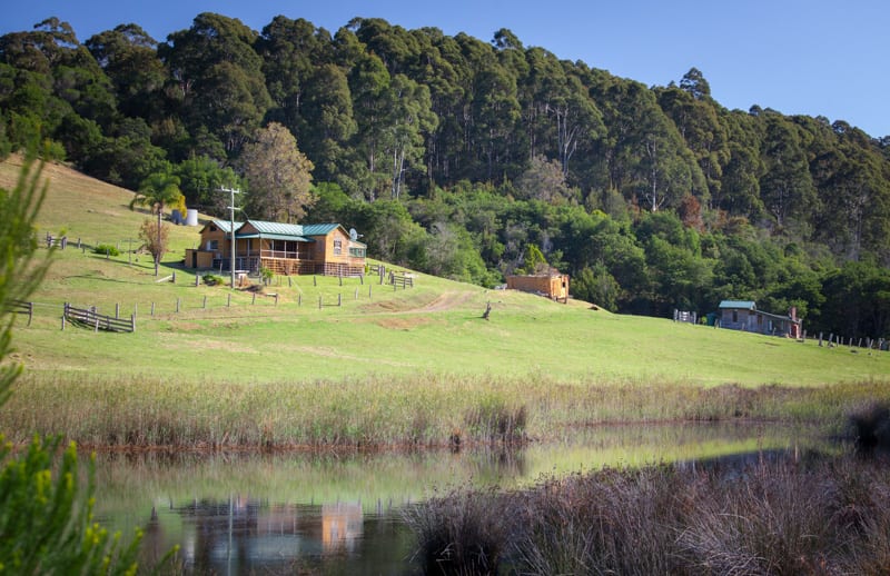 392 Head of Cuttagee Road Cuttagee NSW 2546 - Image 1