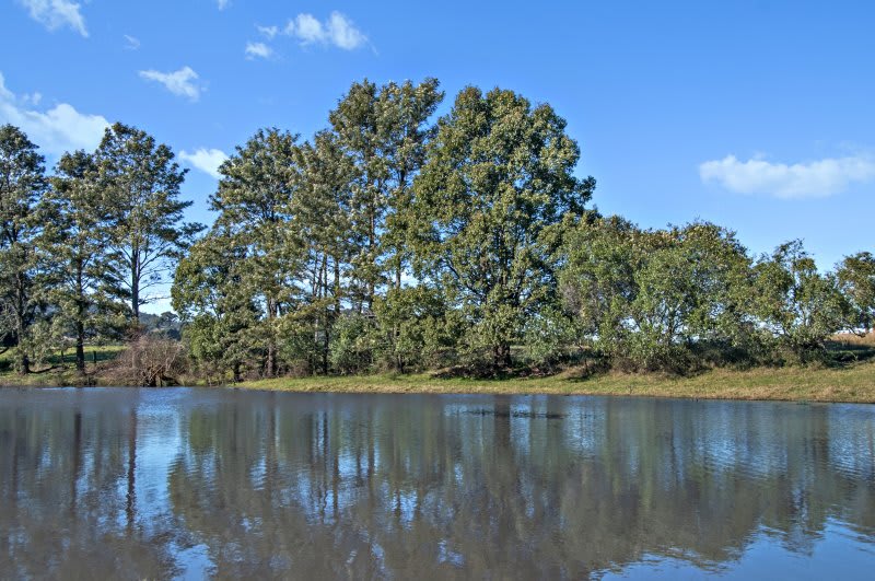 Click to view all images 101 Knockfin Road Maitland NSW 2320 - Image 2