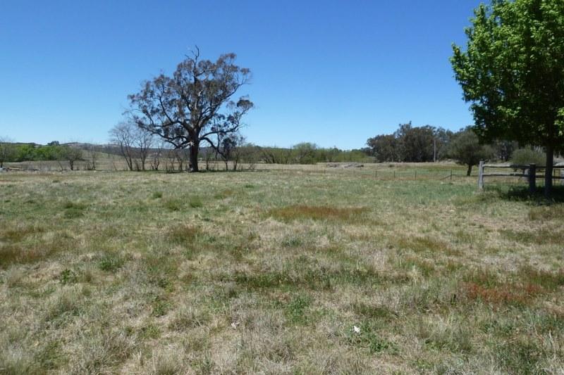 Botobolar NSW 2850 - Image 3
