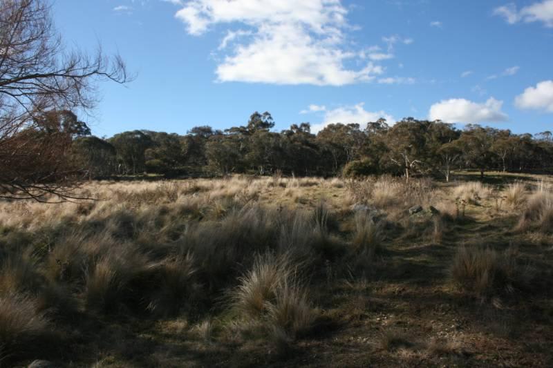 Lot 5 Callemondah Road Shannons Flat NSW 2630 - Image 3