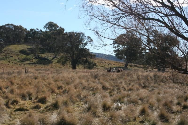 Lot 4/6 Callemondah Road Shannons Flat NSW 2630 - Image 3
