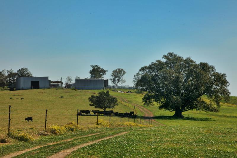 Nelsons Plains NSW 2324 - Image 3