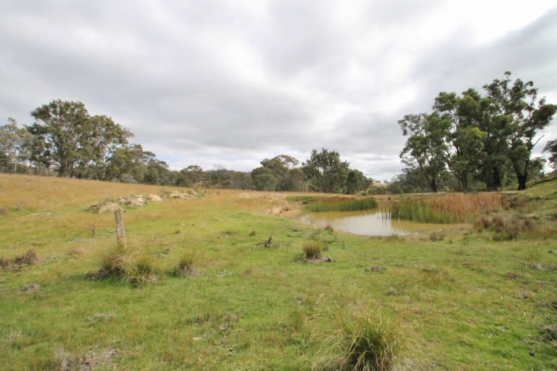 Click to view all images 1/724 Upper Piambong Road Mudgee NSW 2850 - Image 2