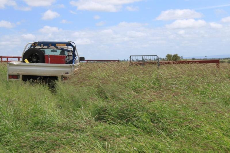 Click to view all images Roma QLD 4455 - Image 2