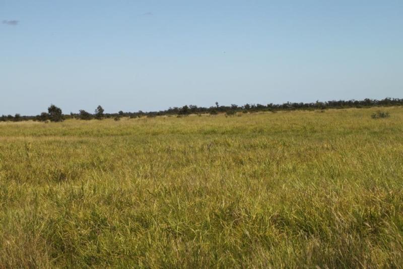Click to view all images - Bindebango Bollon QLD 4488 - Image 2