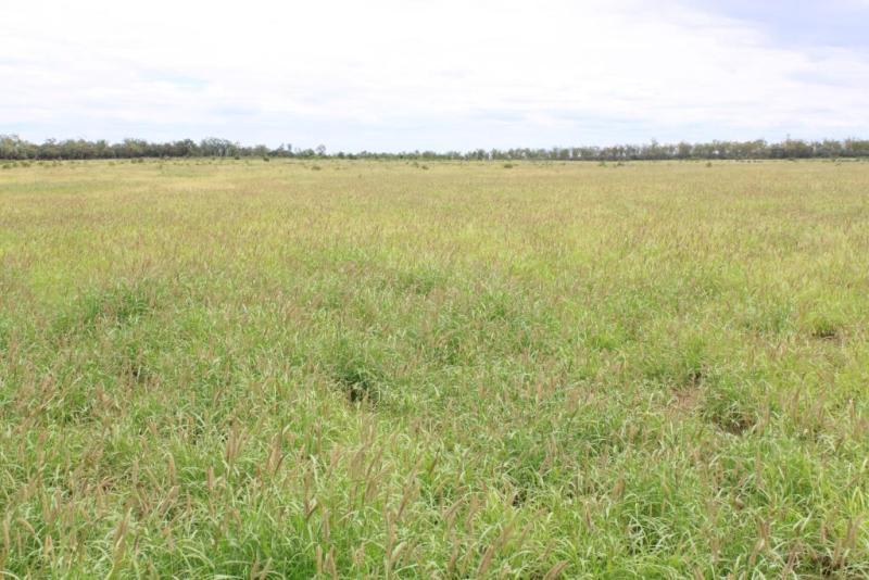 Click to view all images Mitchell QLD 4465 - Image 1
