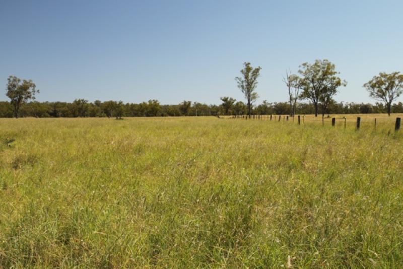Click to view all images Roma QLD 4455 - Image 2