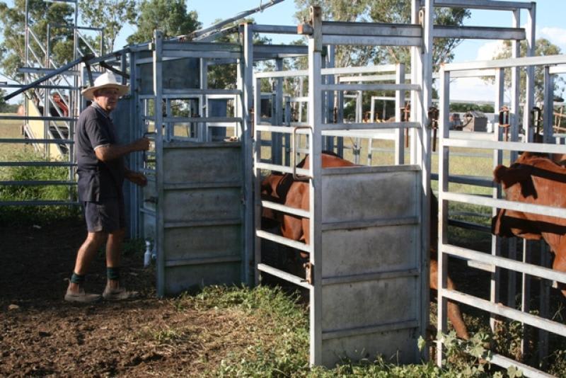 Click to view all images KINGUMBILLA WEST Goondiwindi QLD 4390 - Image 2