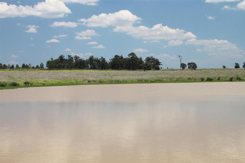 1 Pinora West Jackson QLD 4426 - Image 2