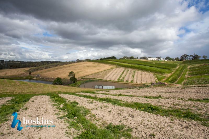 Click to view all images 112 - 130 Harris Gully Road Warrandyte VIC 3113 - Image 3
