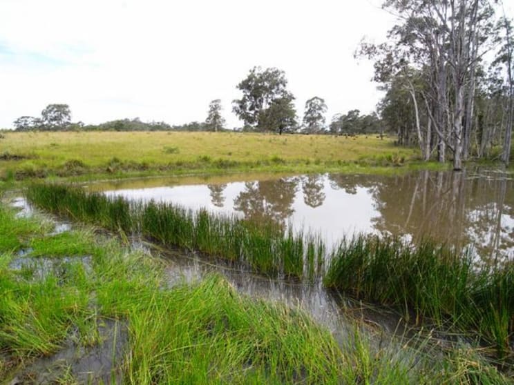 Click to view all images Wherrol Flat NSW 2429 - Image 2