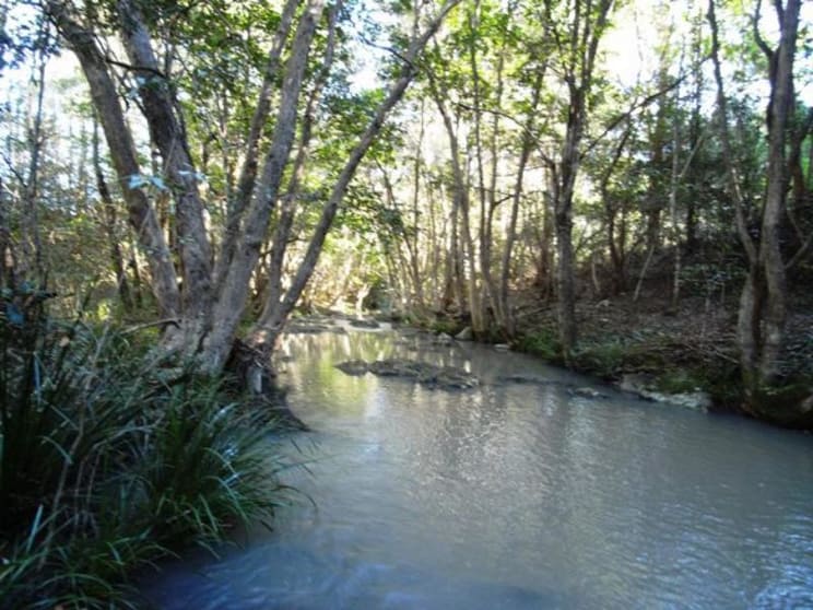 Click to view all images Marlee NSW 2429 - Image 2