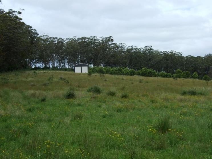 0 Barlows Gate Rd - Killarney Warwick QLD 4370 - Image 2