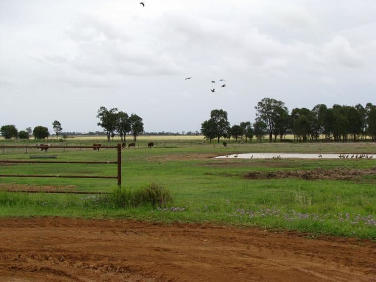 Click to view all images 2058 ACRES GRAZING PROPERTY Jandowae QLD 4410 - Image 1