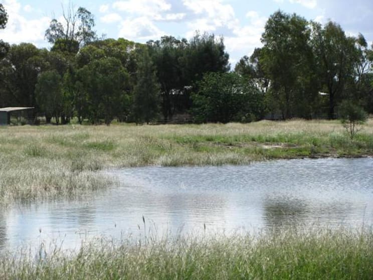 Click to view all images ALLAWAH, 3565 ACRES Tara QLD 4421 - Image 3