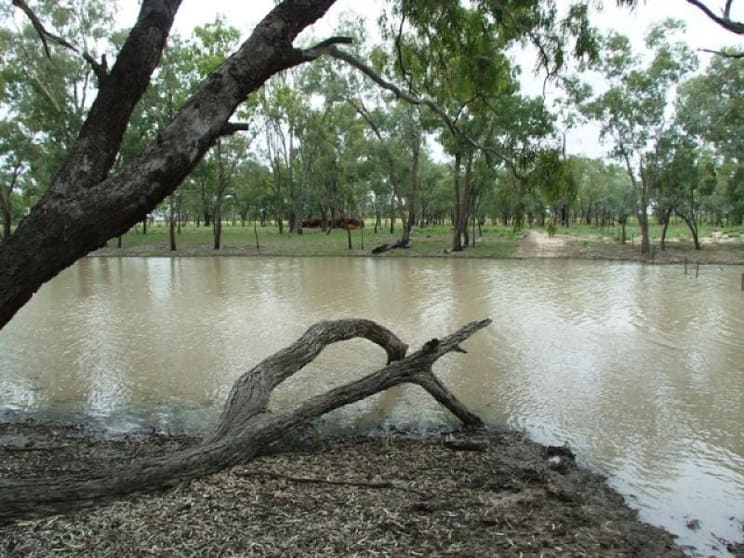 Click to view all images 180 Commissioners Point Road St George QLD 4487 - Image 1