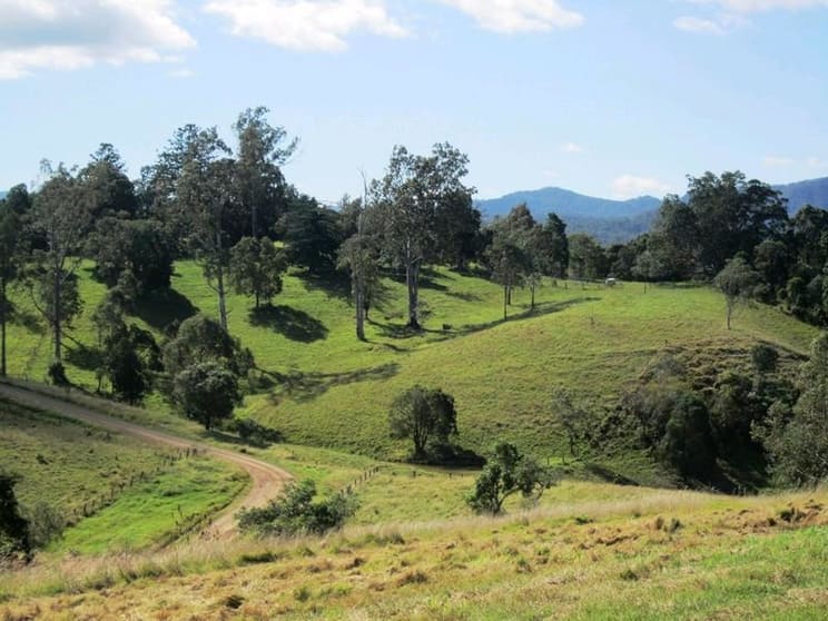 Click to view all images 563 Riverside Drive Pine Mountain QLD 4306 - Image 2