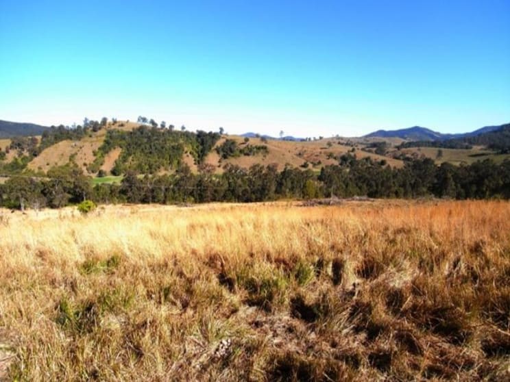 Knorrit Flat NSW 2424 - Image 2