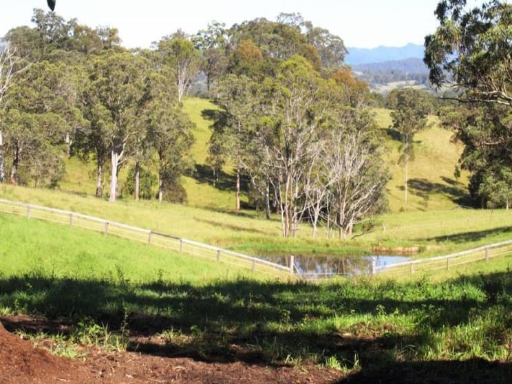 Wingham NSW 2429 - Image 3