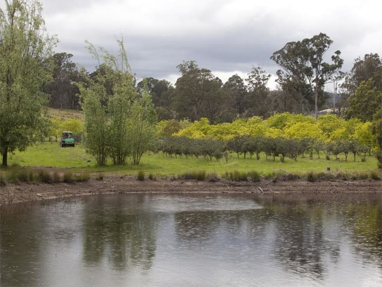 Wandella NSW 2550 - Image 1