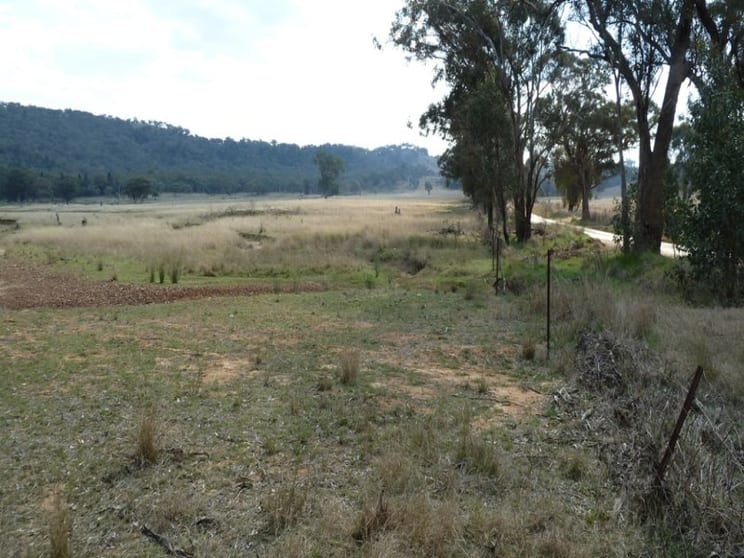 Lot 147 Mebul Road Mudgee NSW 2850 - Image 3