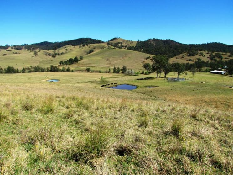 Gloucester NSW 2422 - Image 1