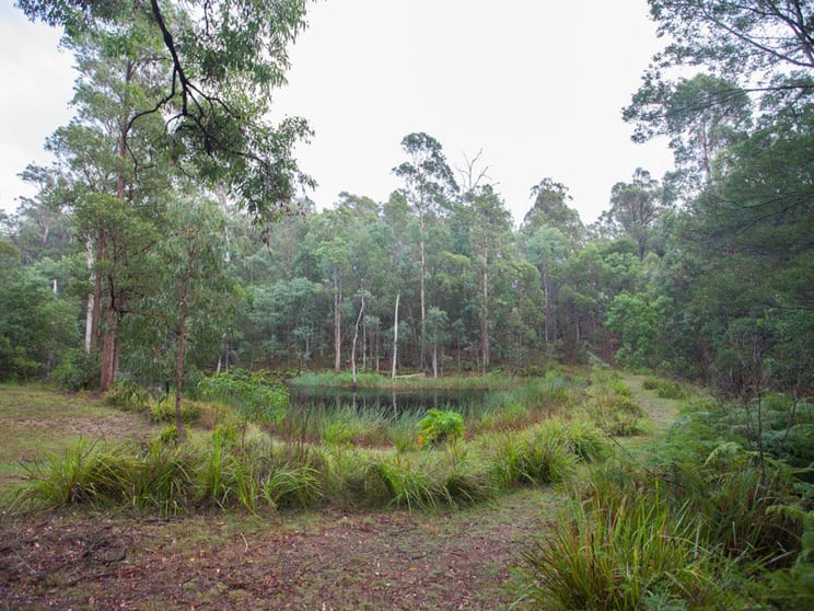 Wapengo NSW 2550 - Image 3