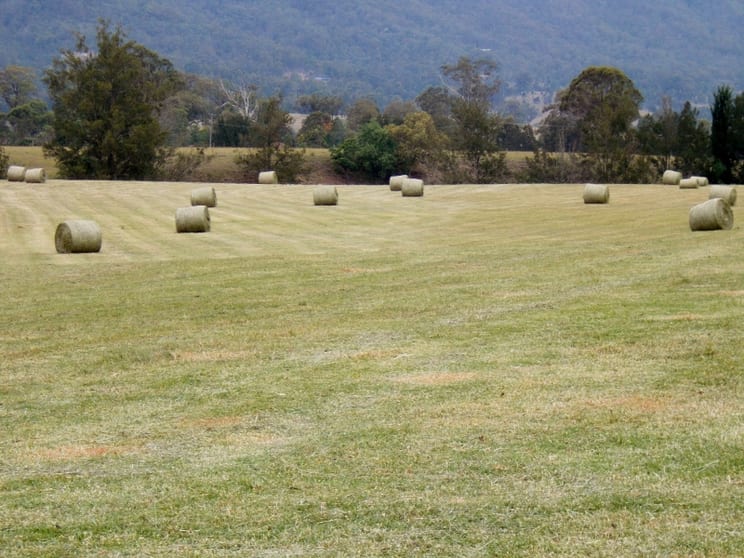 Vacy NSW 2421 - Image 3