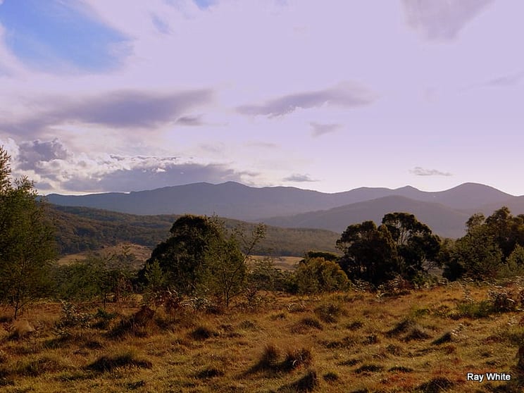 Click to view all images 86 Grey Gums Rd Majors Creek NSW 2622 - Image 3