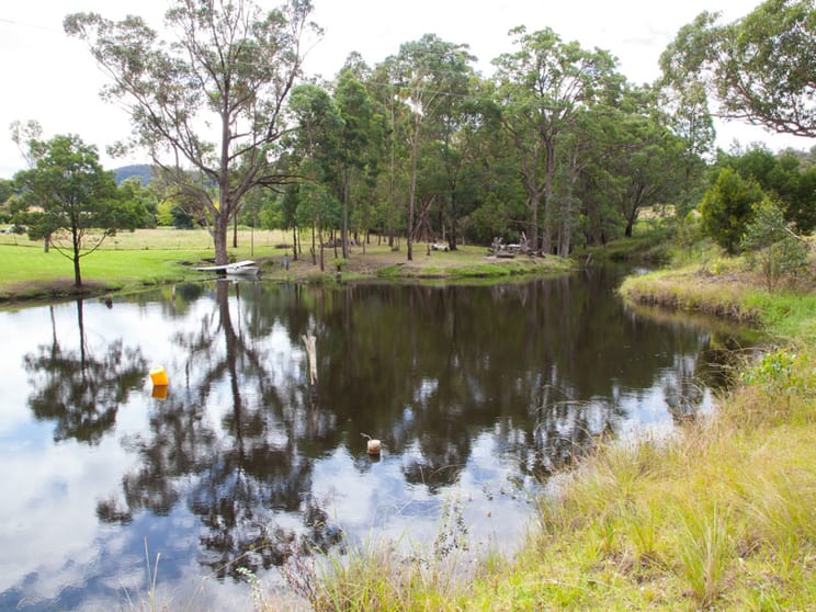 Cobargo NSW 2550 - Image 3