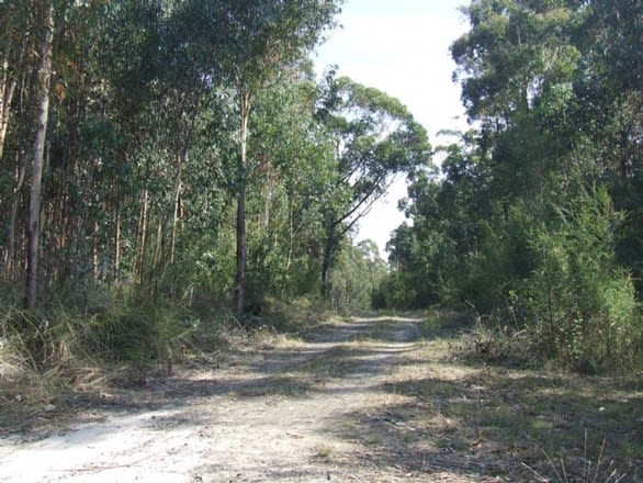 Lot 1 Old Glengarry Road Glengarry VIC 3854 - Image 3