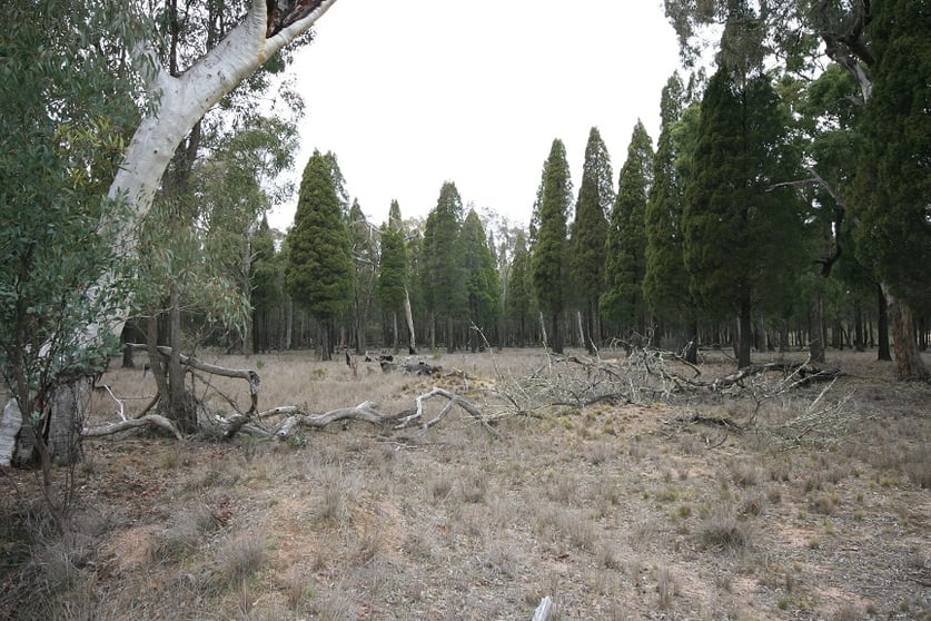 166 Maiala Road Mudgee NSW 2850 - Image 3