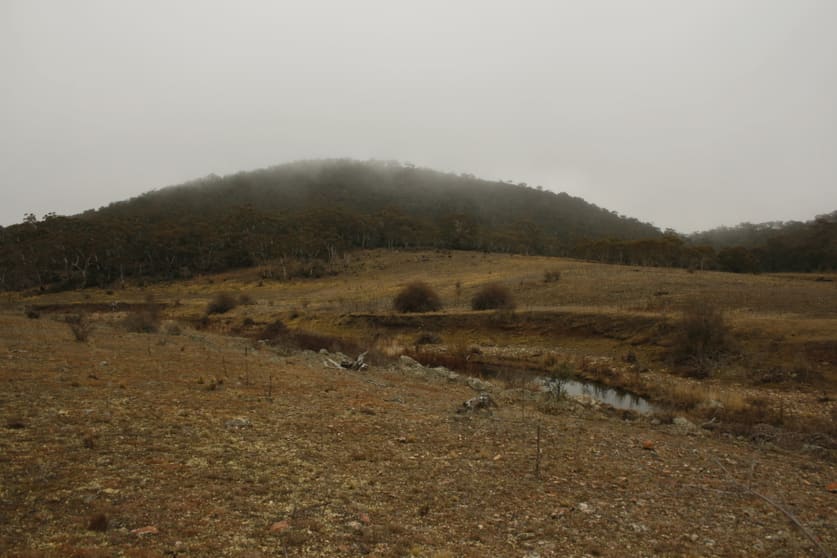 Click to view all images Lot 158 Dangelong Rd Cooma NSW 2630 - Image 3