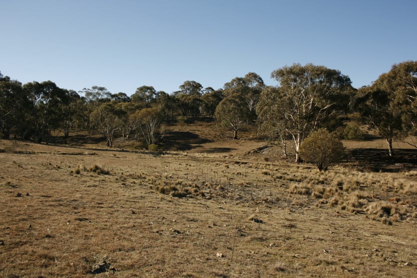 Click to view all images Lot 110 / 177 Dangelong Rd Cooma NSW 2630 - Image 1
