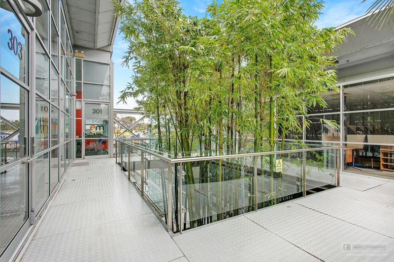 Offices commercial property for lease at Brookvale NSW 2100