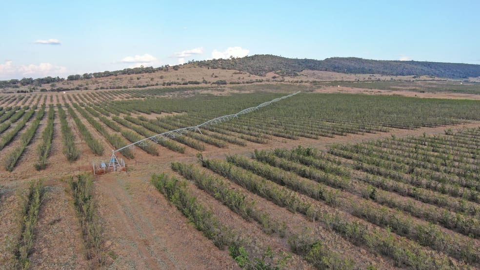 Rural / Farming commercial property for sale at 12605 Eidsvold Theodore Road Camboon QLD 4719 Rural / Farming commercial property for sale at 12605 Eidsvold Theodore Road Camboon QLD 4719