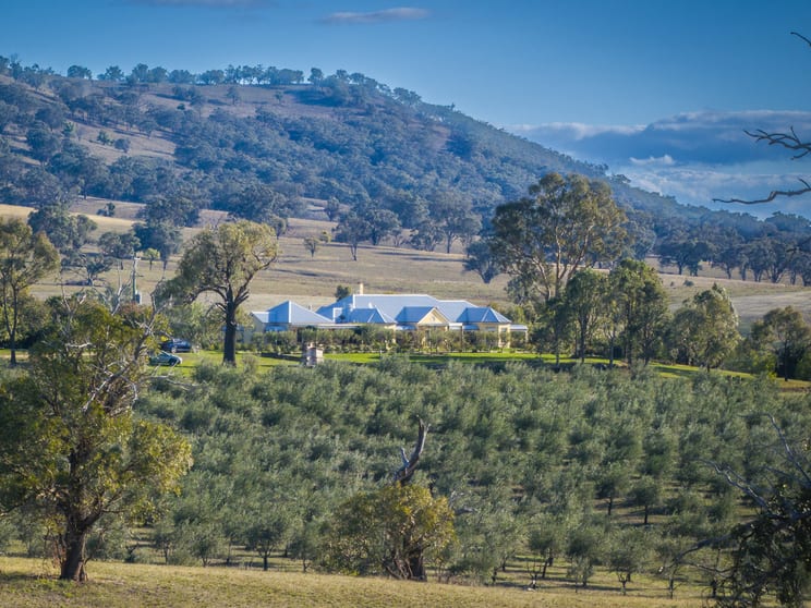 Rural / Farming commercial property for sale at 25 Mossy Rock Lane Monivae NSW 2850 Rural / Farming commercial property for sale at 25 Mossy Rock Lane Monivae NSW 2850