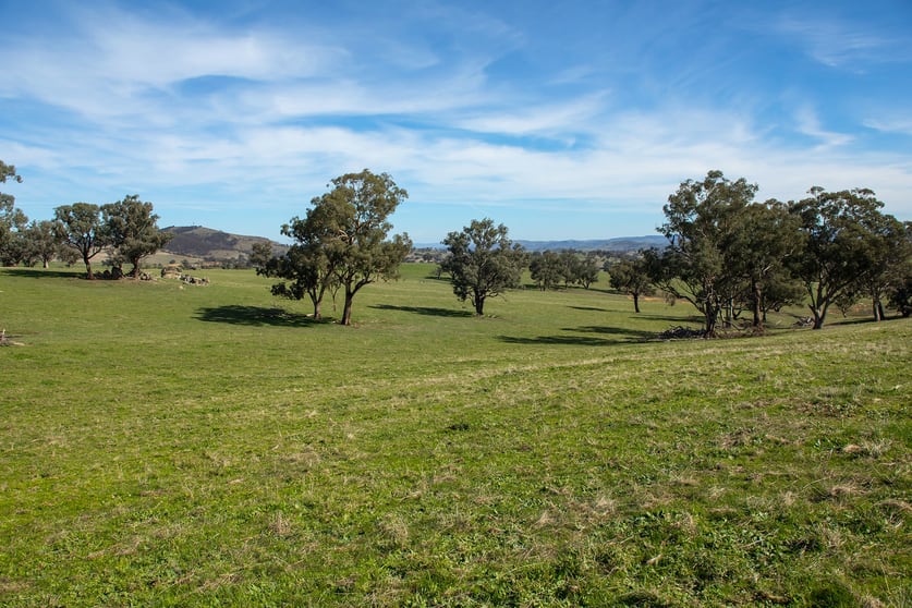 Rural / Farming commercial property for sale at 7440 Hume Highway Jugiong NSW 2726 Rural / Farming commercial property for sale at 7440 Hume Highway Jugiong NSW 2726