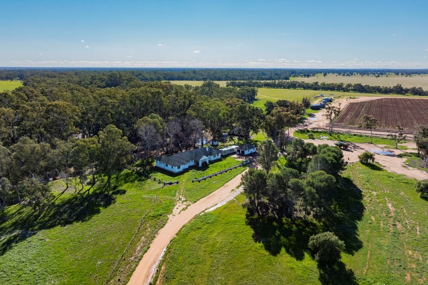 Rural / Farming commercial property for sale at 10474 Sturt Highway Narrandera NSW 2700 Rural / Farming commercial property for sale at 10474 Sturt Highway Narrandera NSW 2700