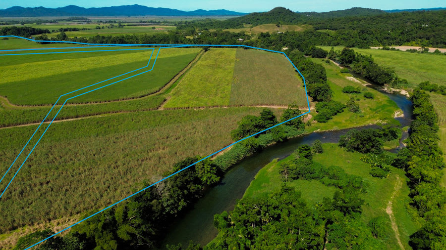 Rural / Farming commercial property for sale at 605 Boulders Road Babinda QLD 4861 Rural / Farming commercial property for sale at 605 Boulders Road Babinda QLD 4861