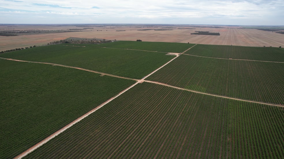 Rural / Farming commercial property for sale at New Residence SA 5333 Rural / Farming commercial property for sale at New Residence SA 5333