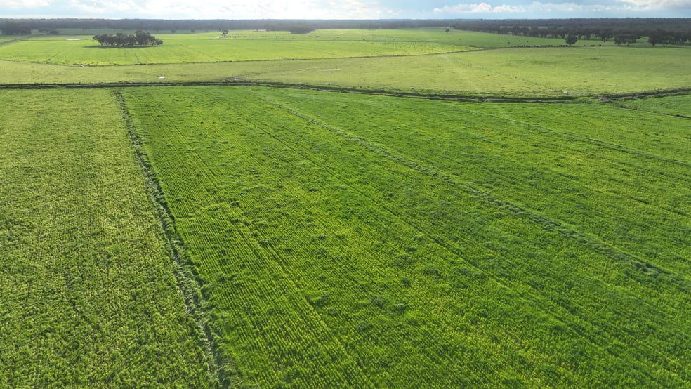 Other commercial property for sale at Cobwell Station Sandy Bridge Road Barham NSW 2732 Other commercial property for sale at Cobwell Station Sandy Bridge Road Barham NSW 2732