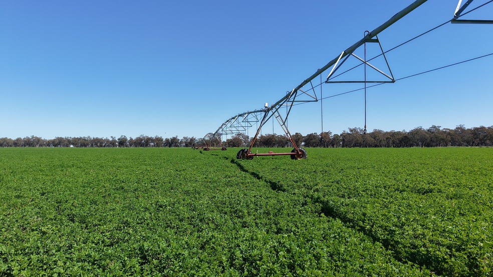 Rural / Farming commercial property for sale at Tiagarra, 339 New Grenfell Road Forbes NSW 2871