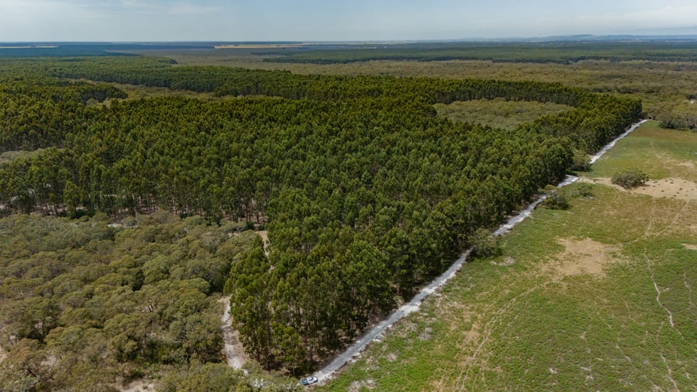 Rural / Farming commercial property for sale at 1830 Wattle Range Road Wattle Range SA 5280 Rural / Farming commercial property for sale at 1830 Wattle Range Road Wattle Range SA 5280