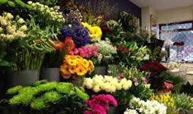 Giant florist for sale BL-0681 Giant florist for sale BL-0681