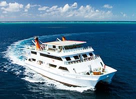 Australian liveaboard operation with expedition and  Day Reef trip vessels