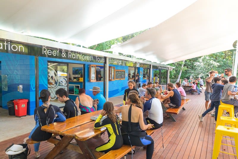 Ocean Safari, Safari Lodge & Turtle Rock Café  The Gold Standard of Eco-Tourism