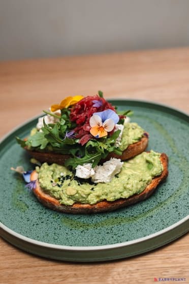 Own a Thriving Café in the Heart of Cowes Own a Thriving Café in the Heart of Cowes