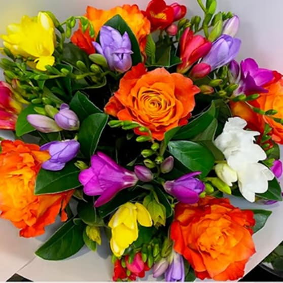 Wholesale Plants - 45 years One Owner Wholesale Plants - 45 years One Owner